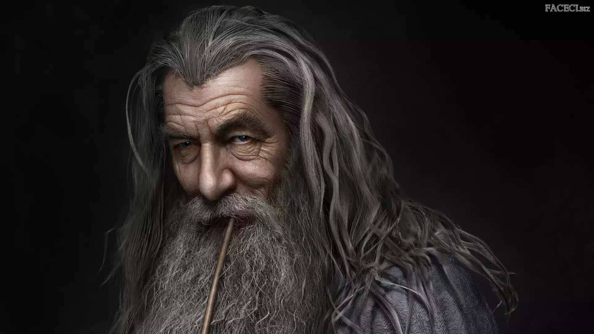 Gandalf Szary, Ian McKellen, Hobbit, Portret, Czarodziej, Twarz